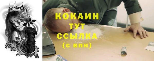 spice Алексин