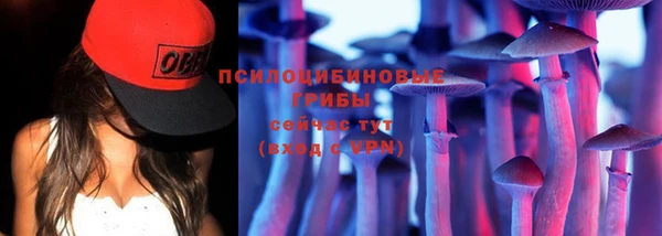амф Алексеевка