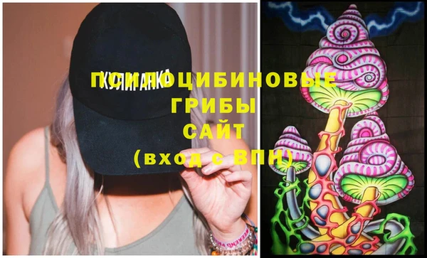 таблы Алзамай