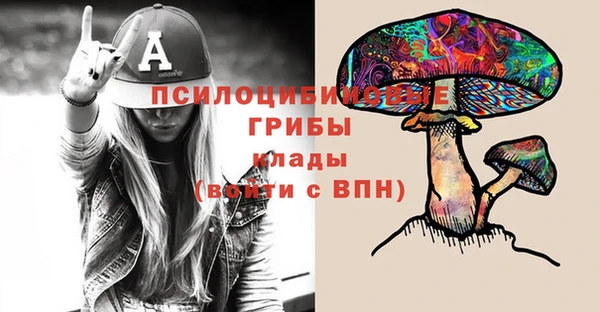 таблы Алзамай